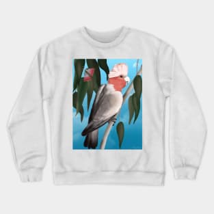 Galah Crewneck Sweatshirt